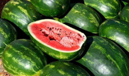 吃瓜娱乐百科大全