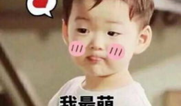 扛把子表情包,网络时代的潮流符号