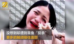 女主播不雅事件始末,揭秘网络直播界的道德漩涡