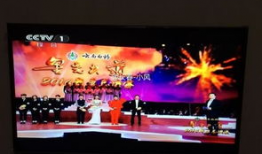 二人转演员白鸽,演绎二人转艺术的魅力使者