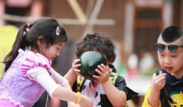 吃瓜人娱乐,揭秘娱乐圈幕后故事，带你领略明星真实生活