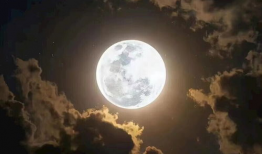 中秋节的月亮图片