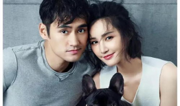 娱乐圈吃瓜爆料视频号,吃瓜爆料视频号带你探秘明星幕后故事