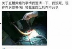 什么是黄鳝女主播,揭秘网络直播界的另类现象
