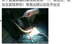 什么是黄鳝女主播,揭秘网络直播界的另类现象