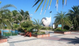 娱乐718.吃瓜三亚