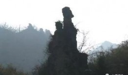 正德山的个人资料,探寻历史足迹，传承文化精髓的传奇人生