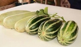 51娱乐网红吃瓜