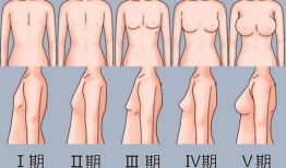 胸部的照片,照片中的女性风采与魅力