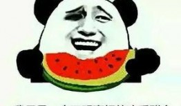 网络词吃瓜群众是什么意思,网络热词背后的社会现象