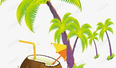 夏威夷树图片,热带天堂的绿色守护者