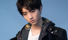 王俊凯娱乐圈同人文,王俊凯的娱乐圈奇幻之旅