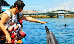 娱乐718.吃瓜三亚