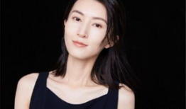 吴美廷个人资料,才华横溢的艺术家，人生轨迹与成就概述