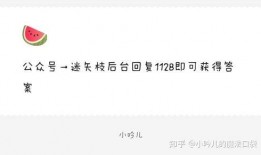 娱乐圈吃瓜爆料文件