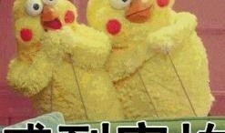 娱乐吃瓜酱什么是爱情