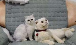 刘二豆与娱乐吃瓜君