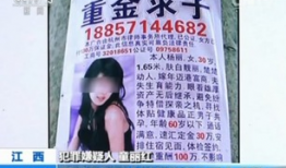 富婆重金求子搞笑,笑料百出，揭秘现代版“金龟婿”传奇