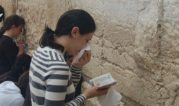 娱乐吃瓜君耍猴版,揭秘耍猴版背后的趣味与真相