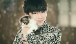 王俊凯娱乐圈同人文,王俊凯的娱乐圈奇幻之旅