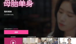 娱乐母胎单身,娱乐界的独特风景