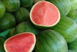 吃瓜咋回复,吃瓜群众如何巧妙回应网络热议