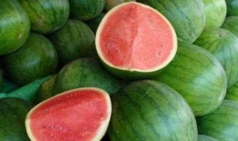 吃瓜咋回复,吃瓜群众如何巧妙回应网络热议