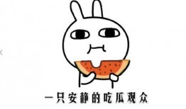 我喜欢吃瓜是啥意思,揭秘“吃瓜群众”背后的趣味与真相